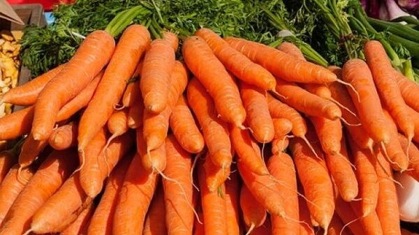 Ca-rot-Trung-Quoc-tran-lan-tren-thi-truong