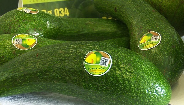 Dan-tem-truy-xuat-nguon-goc-de-nguoi-tieu-dung-khong-con-nham-lan-nong-san-troi-noi