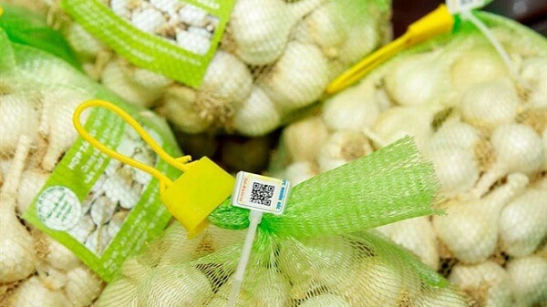 Dan-tem-truy-xuat-cho-san-pham-toi