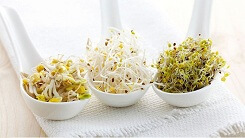 Mang thực phẩm sạch về nhà chỉ bằng thao tác cực kỳ đơn giản