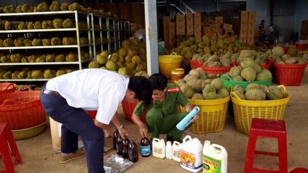 Hang-tan-sau-rieng-dang-cho-ngam-hoa-chat