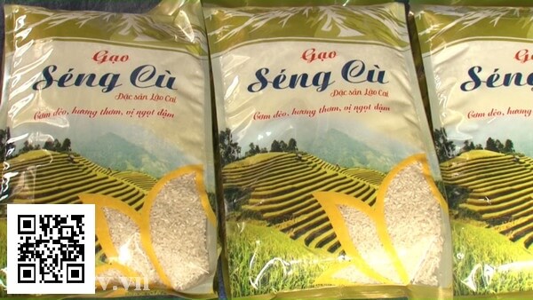 Hieu-qua-canh-tranh-cao-tu-viec-truy-xuat-nguon-goc