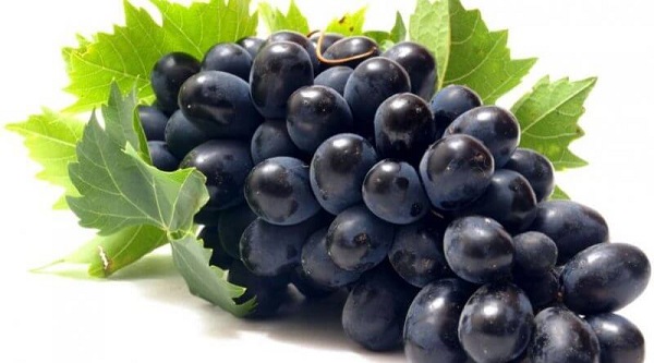 Hoa-qua-ngam-hoa-chat-doc-hai