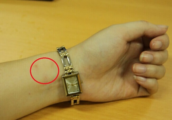 Man-ngua-vi-deo-dong-ho-gia