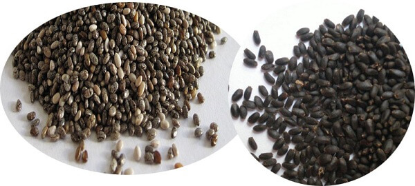 Nhan-biet-hat-chia-qua-hinh-dang-mau-sac-ben-ngoai