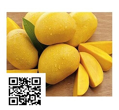 Cách nhận biết xoài đã bị ngậm hóa chất