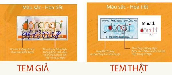 Quan-sat-hoa-tiet-tren-tem-duoc-dan-ngoai-san-pham