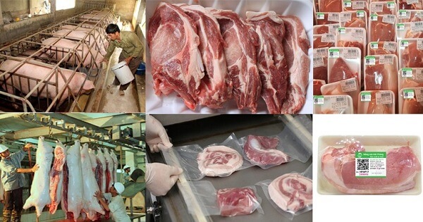 Quy-trinh-truy-xuat-nguon-goc-tu-trang-trai-cho-den-ban-an