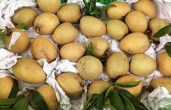 Bi quyet nhan biet hong xiem ngam hoa chat cuc chuan 