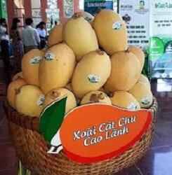 Áp dụng công nghệ Block chain trong truy xuất xoài cát chu