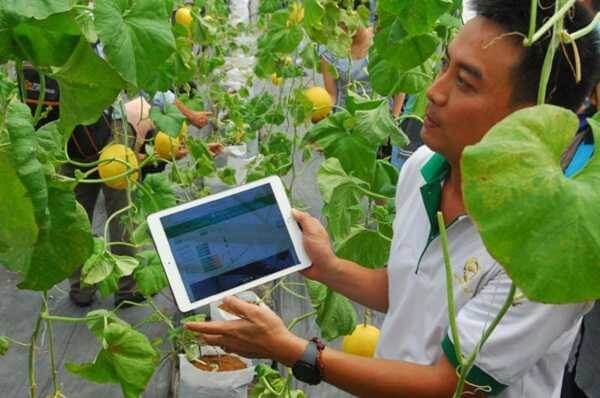 Ung-dung-cong-nghe-blockchain-vao-san-xuat