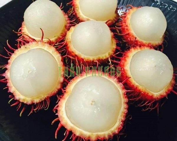 an-thu-chom-chom-truoc-khi-lua-chon-mua an-thu-chom-chom-truoc-khi-lua-chon-mua