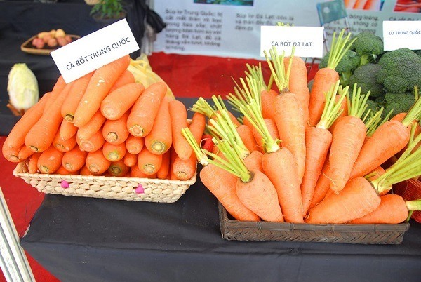 Nhận biết cà rốt Trung Quốc Nhận biết cà rốt Trung Quốc