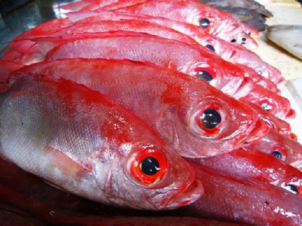 Cá tẩm ướp urê Cá tẩm ướp urê