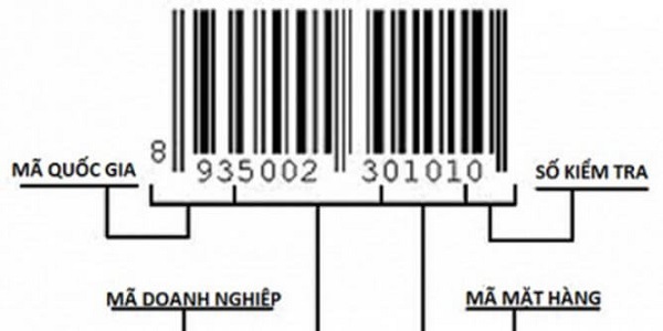 cau-tao-ma-vach-san-pham