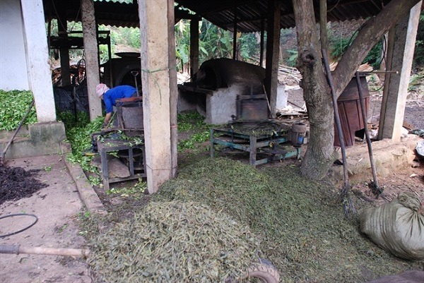 Co-so-che-bien-che-khong-dam-bao-chat-luong