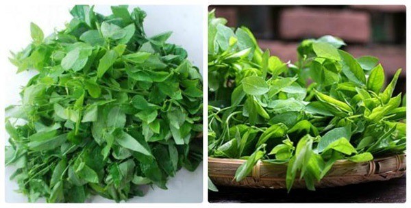 Nhận biết thực phẩm hữu cơ qua hình dạng Nhận biết thực phẩm hữu cơ qua hình dạng