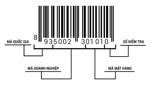 Hình ảnh cấu tạo mã số mã vạch Hình ảnh cấu tạo mã số mã vạch