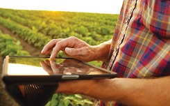 Khang dinh vi the doanh nghiep khong the bo qua truy xuat nguon goc