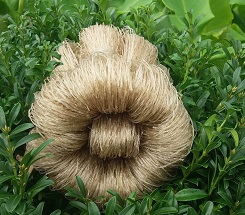 Nhận biết miến sạch đảm bảo sức khỏe cho gia đình 