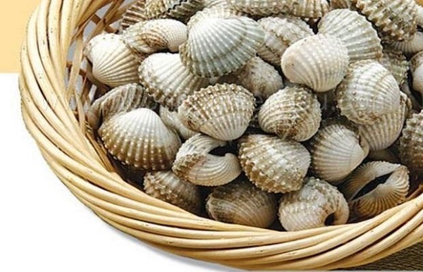 Mẹo nhận biết sò chất lượng Mẹo nhận biết sò chất lượng