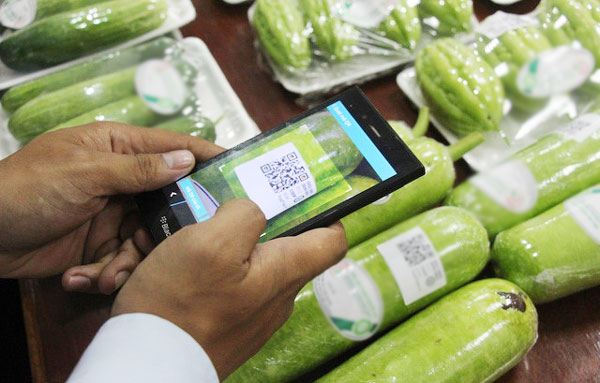 Nhung dieu can biet ve tem truy xuat nguon goc Nhung dieu can biet ve tem truy xuat nguon goc