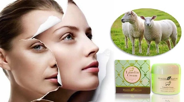 Muốn biết thông tin nhà sản xuất, giá cả trước khi mua nhau thai cừu phải làm thế nào?