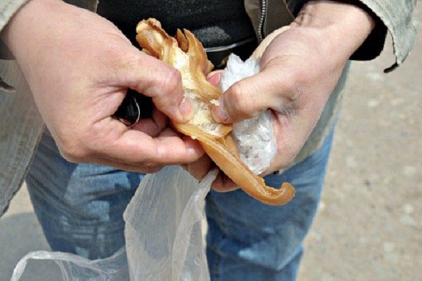 Tai heo giả tại thị trường Trung Quốc Tai heo giả tại thị trường Trung Quốc