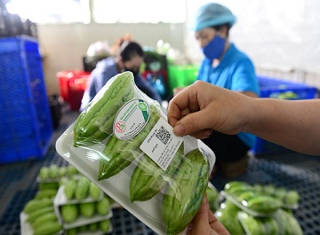 Tem truy xuất thông tin QR code - trợ thủ đắc lực trong kinh doanh