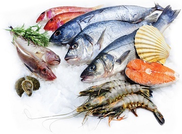 Yeu cau doi voi truy xuat nguon goc san pham trong linh vuc thuy san 