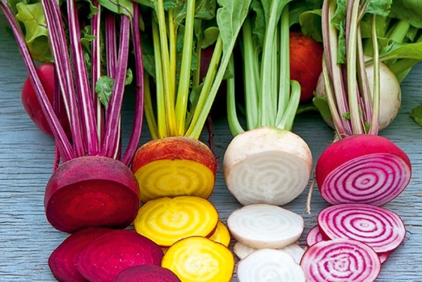 Tìm hiểu về thực phẩm biến đổi gen