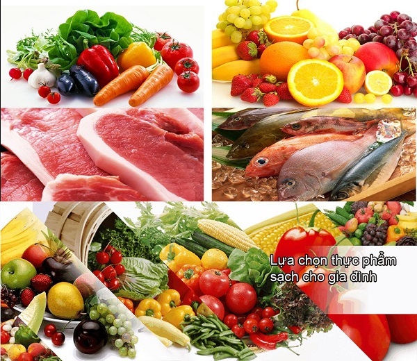 Triển khai tem truy xuất nguồn gốc cho tất cả các sản phẩm Triển khai tem truy xuất nguồn gốc cho tất cả các sản phẩm