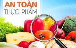 Truy xuất nguồn gốc thực phẩm ngày càng phổ biến