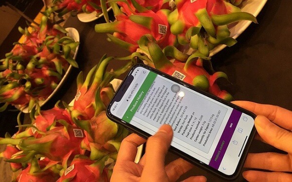 truy-xuat-nguon-goc-la-dieu-kien-bat-buoc-de-hoan-thanh-chuoi-gia-tri-nong-san